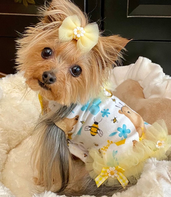 Snuggle Time Bear Dress XXS Dress for Dogs Wedding Dress for