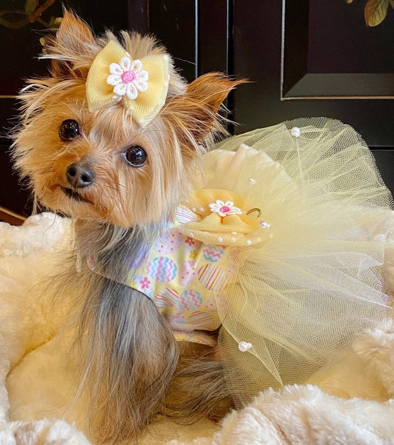 Easter apparel for shop dogs