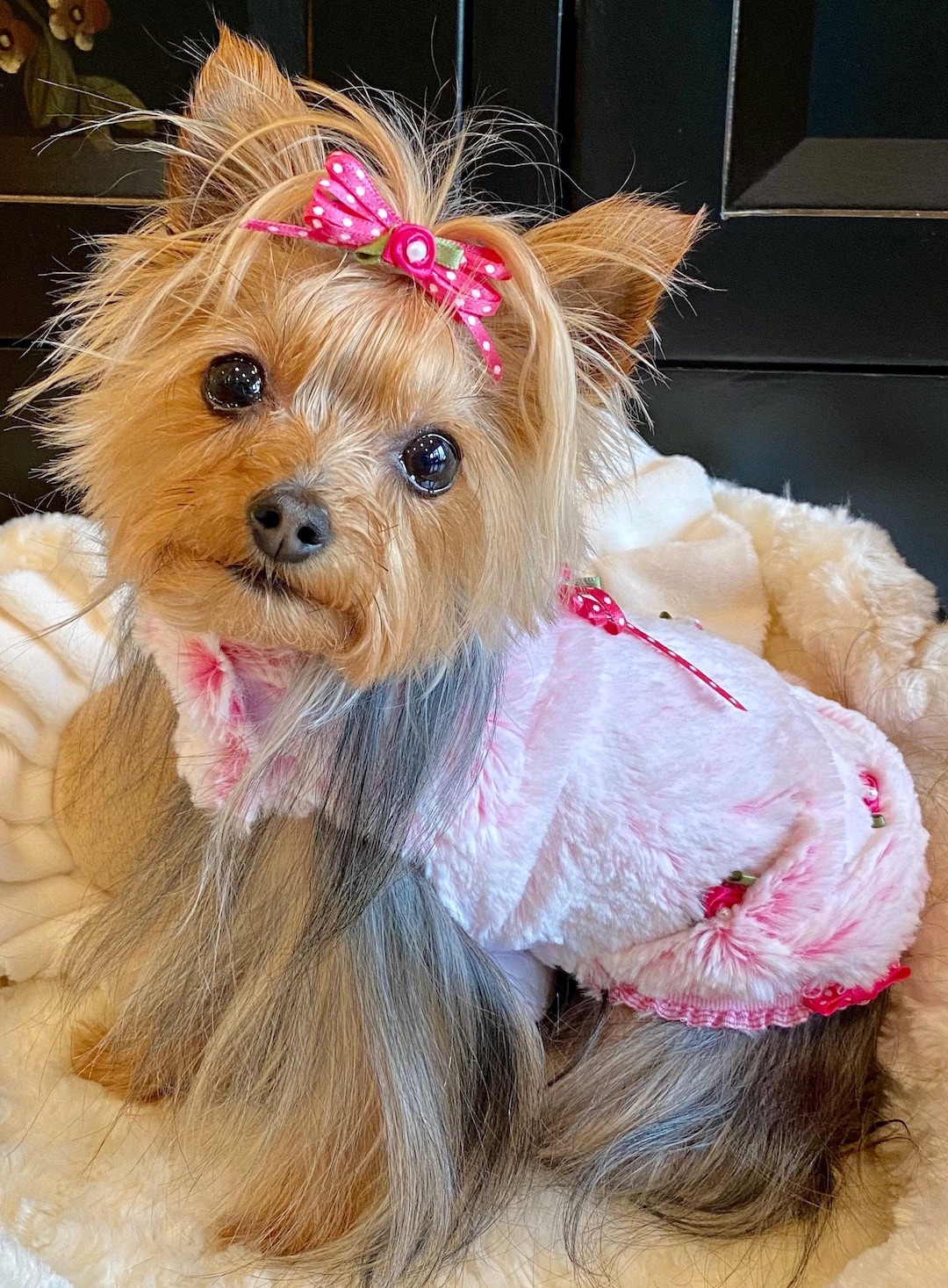 Fashion Girly Girl Dog Coat XS Pet Custom Vest, Harness Dog Jacket