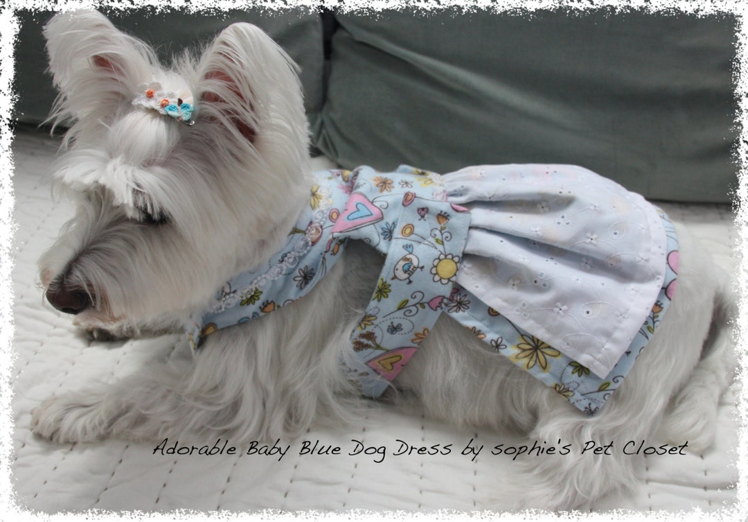 Adorable Baby Blue Dog Dress S M L Light Blue Dress Pet Etsy