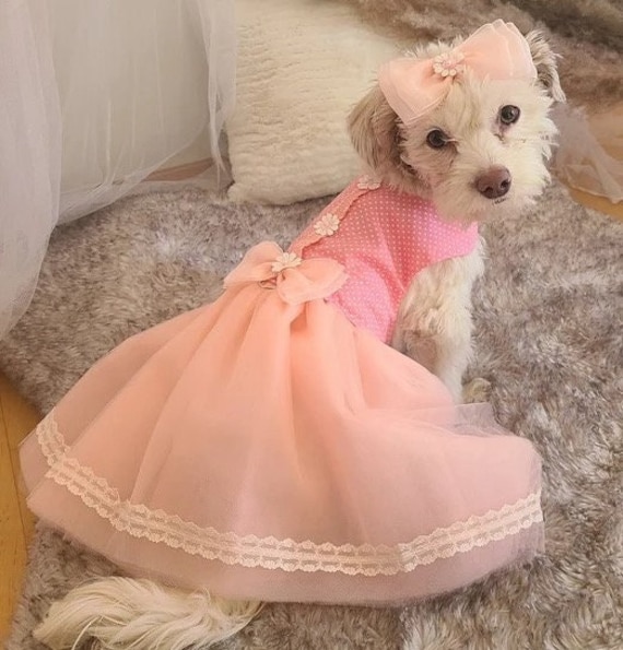 Pooch couture dog clearance harness