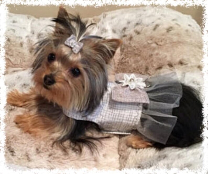 Silver Pet Harness Pet Boutique Custom Harness for Dogs Etsy