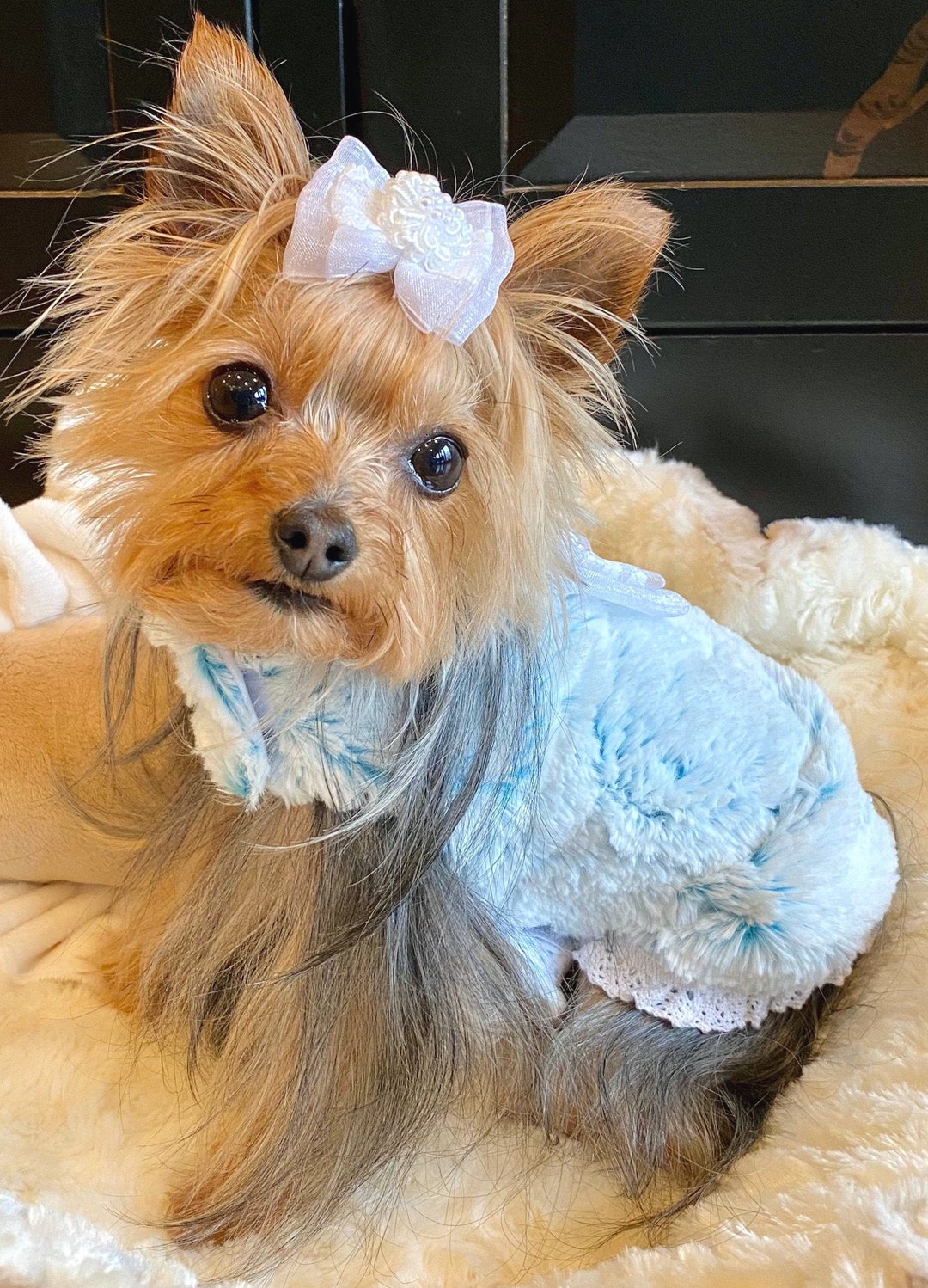 Girly Girl Dog Coat XS Pet Coat, Harness Puppyvest, Pooch Clothes