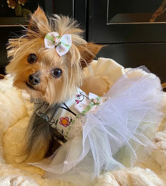 Etsy yorkie clothes discount