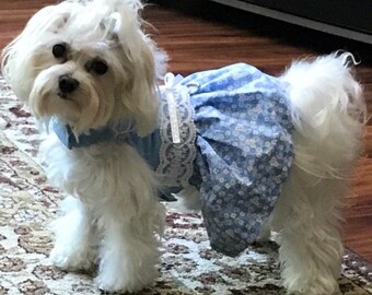 Sweet Blue Cotton Dog Dress: Lace Trim, Satin Ribbon