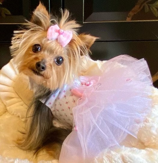 Glamour Dog Dress - Dress for Dogs, Spring Dress, Dog Flower