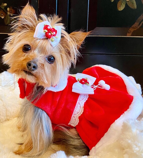 Christmas pet clothes Christmas pet clothes
