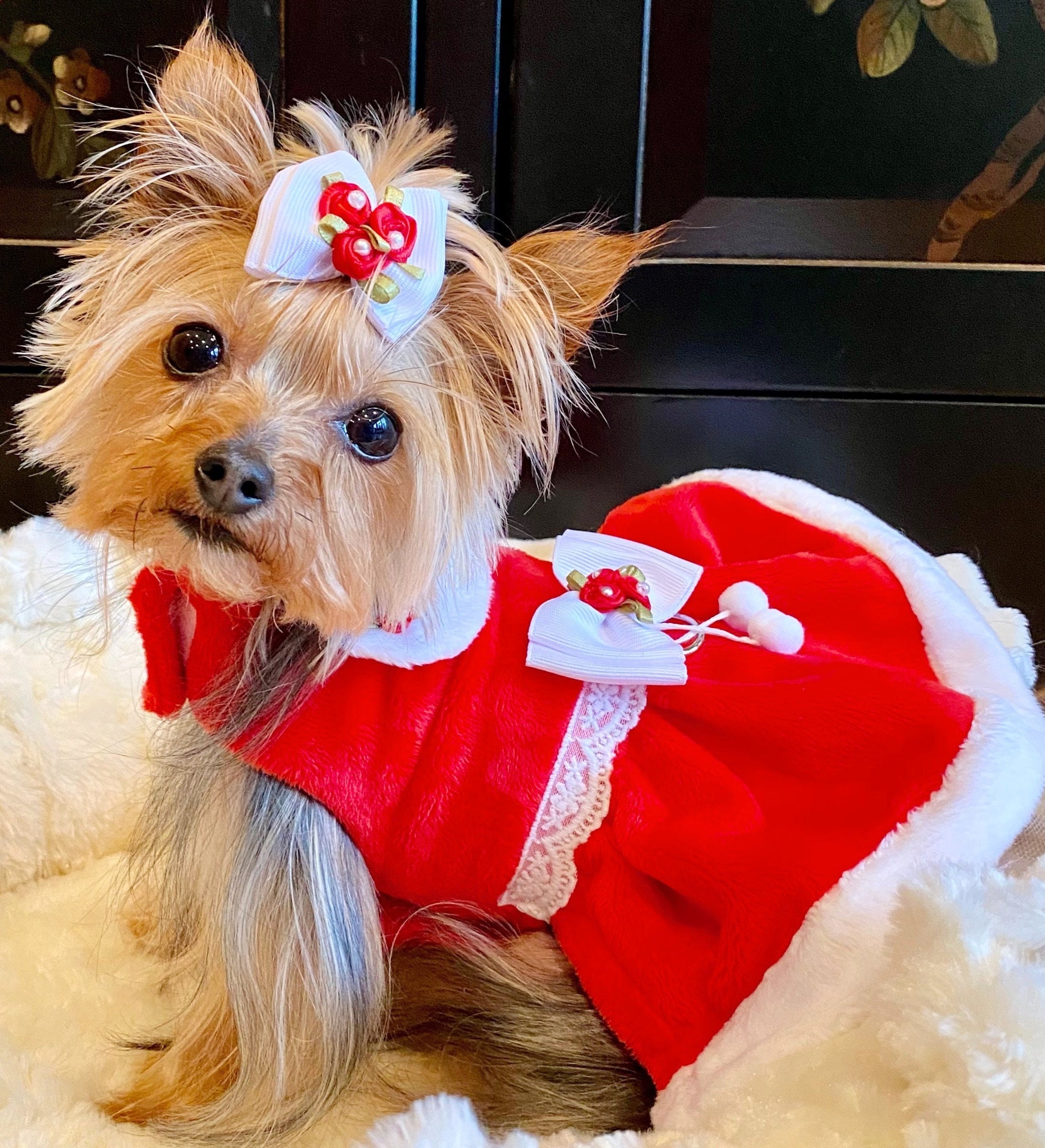 Santa Dog Dress: Plush Holiday Pet Dress With Lace Trim - Etsy