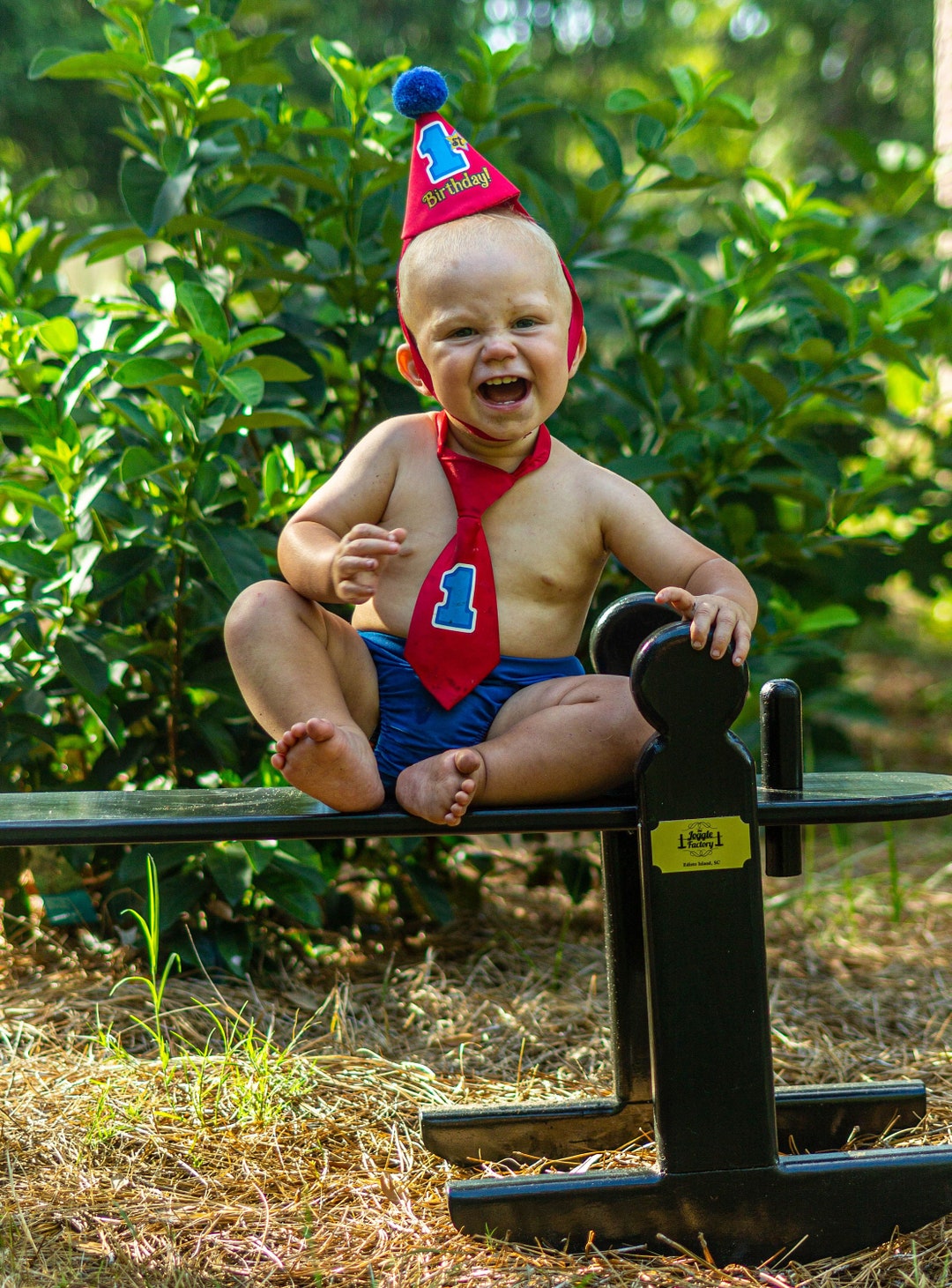 Charleston Green Children's Joggling Board, for Porch, Playroom ...