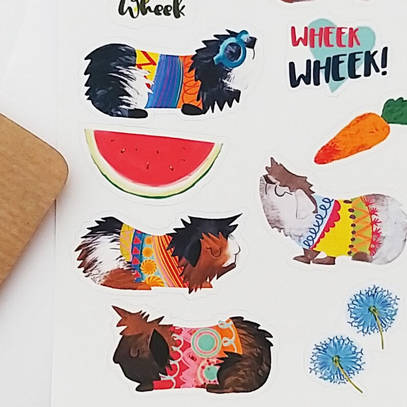 Guinea pig supply list image