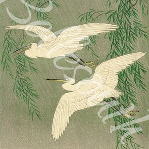 1800s asiatisches Clip Art, Chinesisch, Japanisch, Junk Journals, digitaler Download, Vögel, Kirschblüte, Kraniche, Kreise
