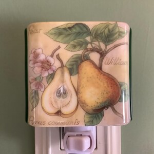 May include: A ceramic nightlight with a pear design. The nightlight features a pear with a cut-out section, a whole pear, and a floral design. The text "Pear Pyrus communis William" is printed on the nightlight.