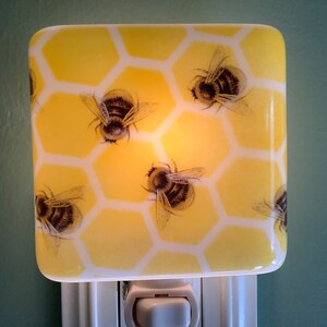 1 Busy Bees Fused Glass Plug In Night Light Outlet Sconce image 7