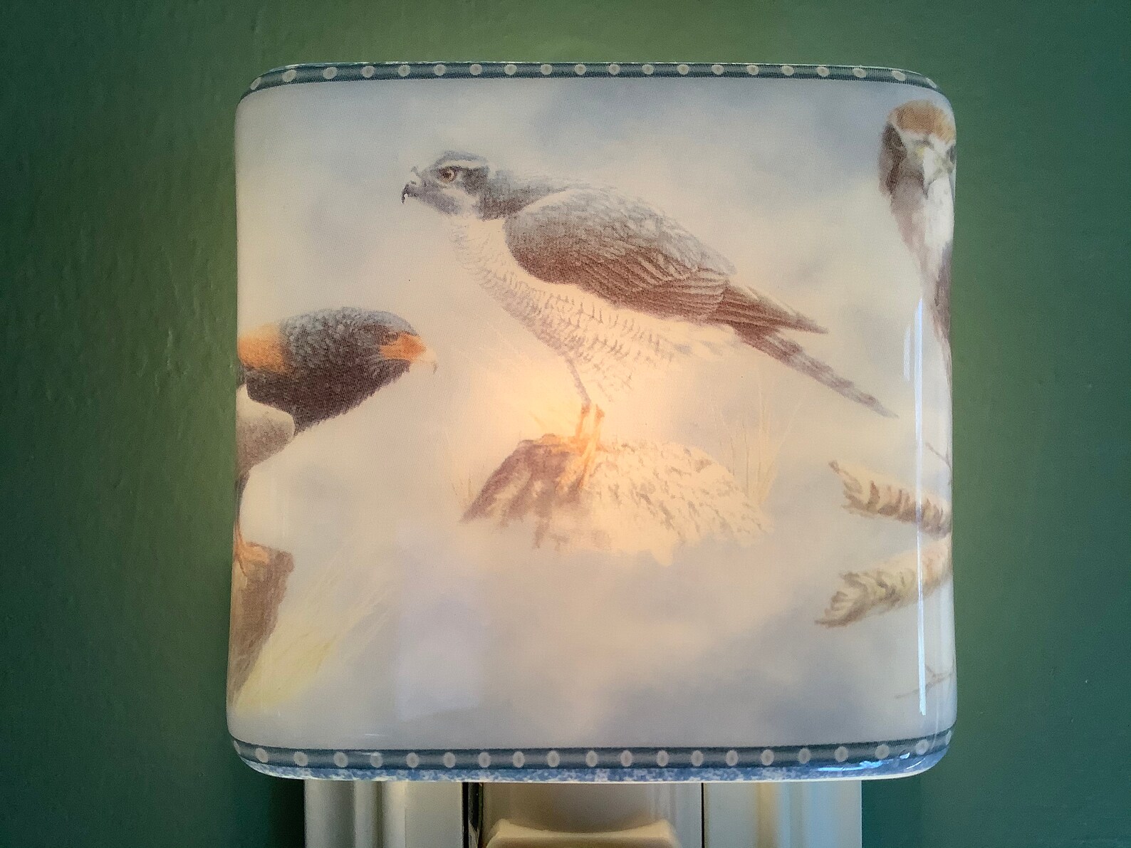 Birds of Prey Fused Glass Plug In Bird Night Light with Etsy