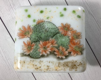 1 Cactus Fused Glass Cacti Succulent Night Light Outlet Sconce