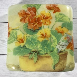 Nasturtium Fused Glass Plug In Herb Night Light with Draped Sides Outlet Sconce