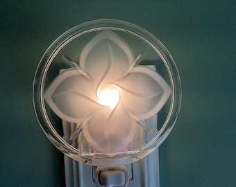 Clear Round Frosted Glass Four Point Flower Plug In Night light