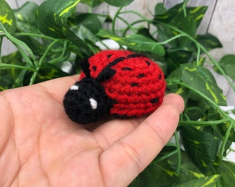 Puede incluir: Un pequeño juguete de mariquita de crochet con patas negras, ojos negros y puntos blancos. La mariquita es roja y está sentada en una mano.