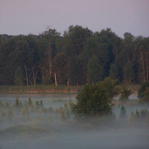 Fog 1 Michigan outdoor photo
