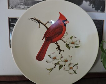 Cardinal Decorative Plate, Dogwood, Signed Don Eckelberry, Bird Illustrator, Vintage, 10 inch, North American Birds, Nature, Winter, Birders