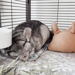 May include: A gray chinchilla sleeping inside a cage, resting on a patterned blanket. A tan bunny-shaped plush toy sits nearby. A white bowl and a pile of hay are also visible.