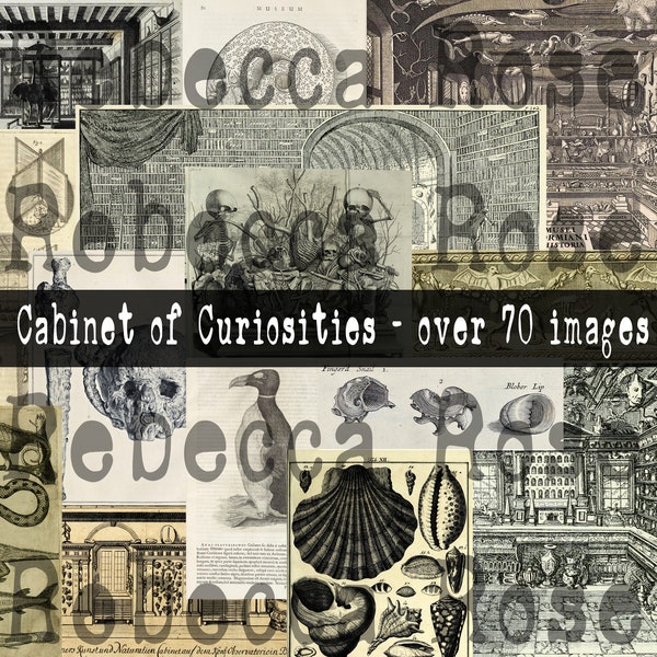 Cabinet of Curiosities Ephemera Digital Kit, Over 70 pieces of creepy digital ephemera, Antique scientific drawings and oddities