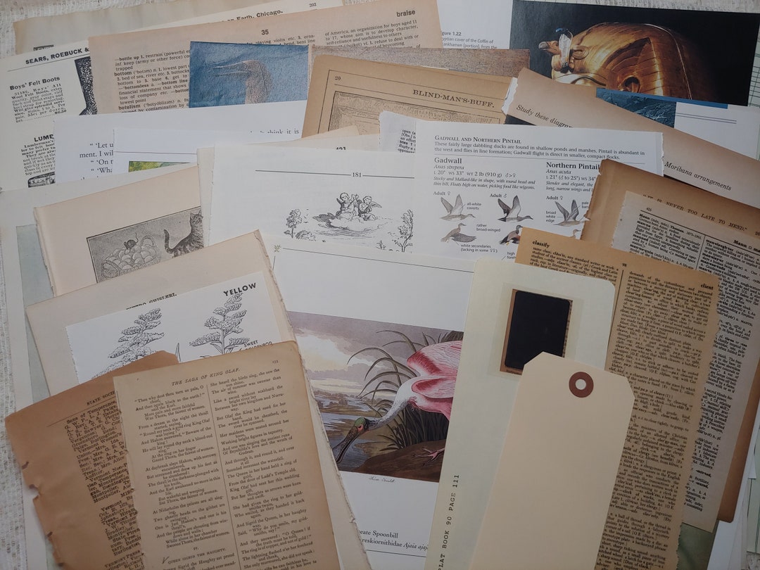 Vintage Paper Ephemera Pack: Junk Journal Kit, Old Book Pages (60 ...
