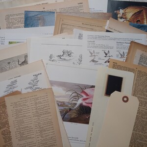 Paper Ephemera Pack, Junk Journal Starter Kit, Vintage Ephemera, Old Paper, Old Book Pages, Mixed Lot, 60+ Pieces, Vintage and Antique Paper