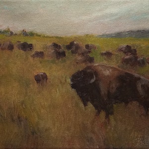 New Ground by Bradley Bohl - original oil painting - 8x10 bison landscape