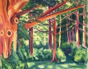 Plein Air Pastel Drawing on Paper Nazareth College Campus