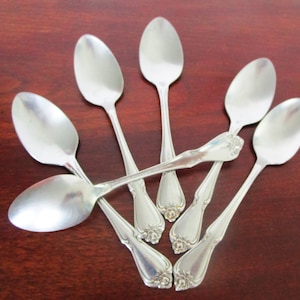 ARBOR ROSE, TRUE Rose Oneida Stainless Satin 6 Teaspoons 1967 - Discontinued Canadian Version