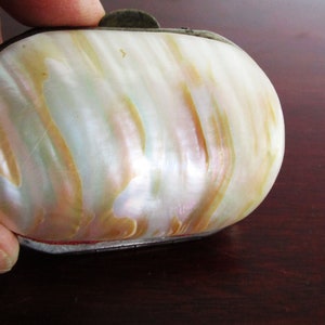 Antique Abalone Coin Purse Mother of Pearl Edwardian Wallet Coin c. 1910