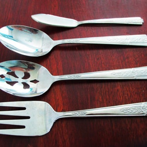 HIBISCUS by PFALTZGRAFF 18/8 Stainless Glossy Hostess Set 4 Pieces, Discontinued, Vintage Silverware