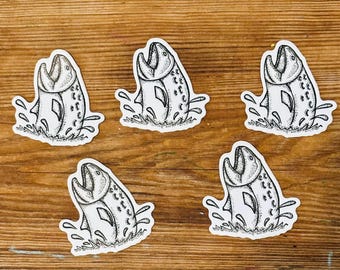 Fish Stickers - Set of 5