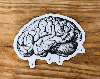 Brain Stickers - Set of 10