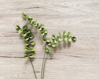 Tallo de helecho de botón de fieltro: vegetación artificial, crea tu propio ramo