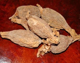 Two Pods Ataare Pepper Yoruba African Guinea Pepper for Ritual Use ~ Cooking
