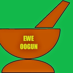 Op maat samengesteld voor jou Ifa Ewe Oogun IFA PLANTENVOORBEREIDINGEN via waarzeggerij
