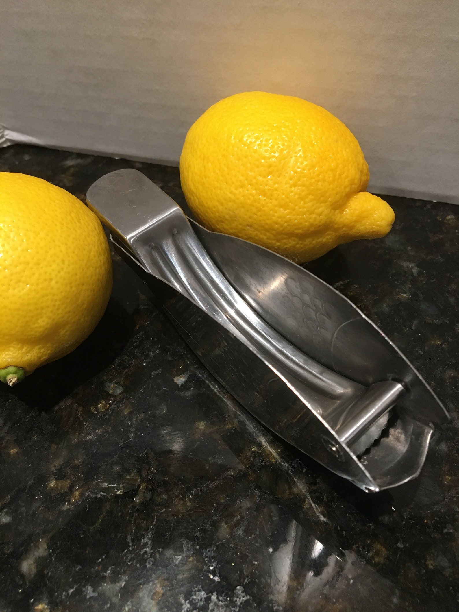 Vintage Stainless Steel Fish Lemon Squeezer/Juicer Etsy