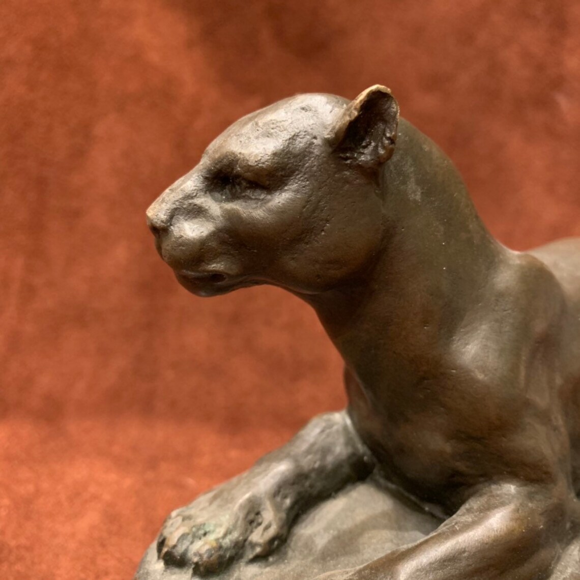 Bronze Mountain Lion Sculpture by Barye Etsy