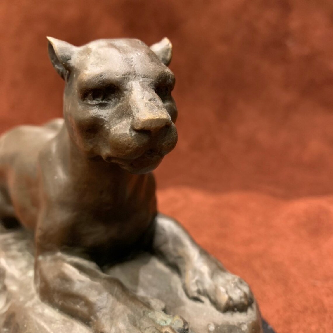 Bronze Mountain Lion Sculpture by Barye Etsy