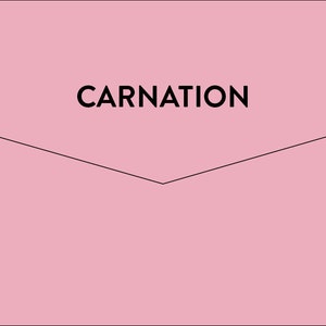 Envelopes  |  Pkt 10  |  Save the Date, Thank You Card, Invitation  |  C6  |  Carnation