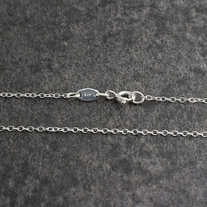 Pu&ograve; includere: Una collana a catena d'argento con chiusura a moschettone e un'etichetta che dice "925".