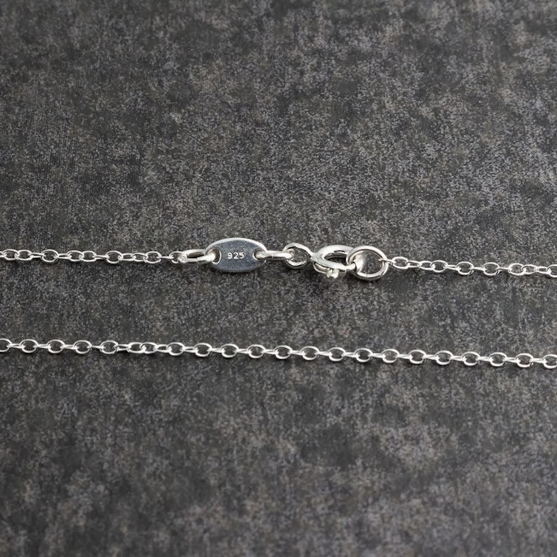 Pu&ograve; includere: Una collana a catena d'argento con chiusura a moschettone e un'etichetta che dice "925".