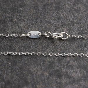 Pu&ograve; includere: Una collana a catena d'argento con chiusura a moschettone e un'etichetta che dice "925".