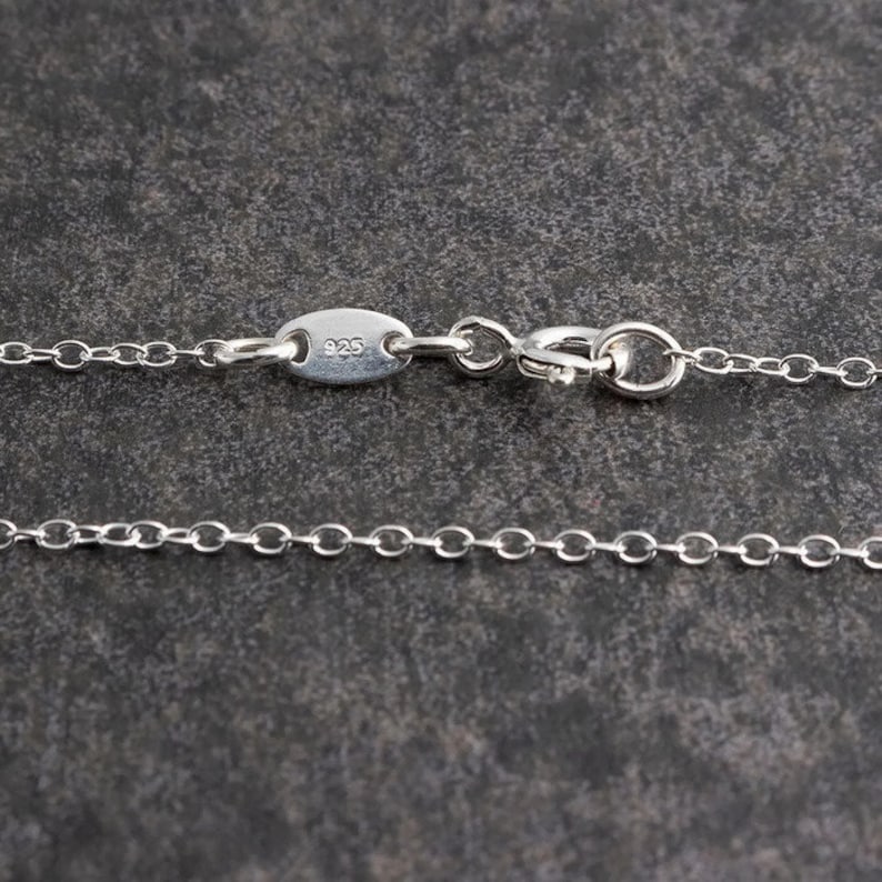 Pu&ograve; includere: Una collana a catena d'argento con chiusura a moschettone e un'etichetta che dice "925".