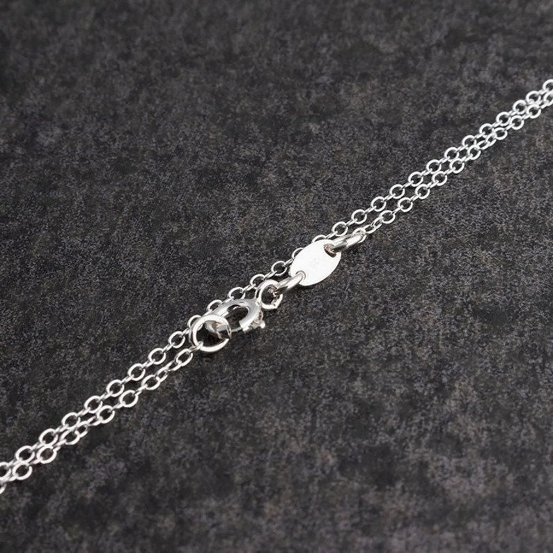 Pu&ograve; includere: Una collana a catena d'argento con chiusura a moschettone. La catena &egrave; composta da piccoli cerchi collegati.