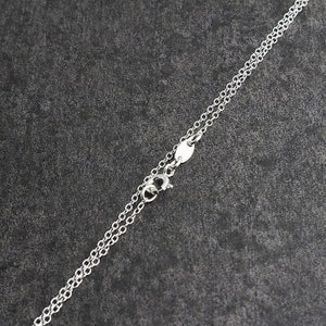 Pu&ograve; includere: Una collana a catena d'argento con chiusura a moschettone.