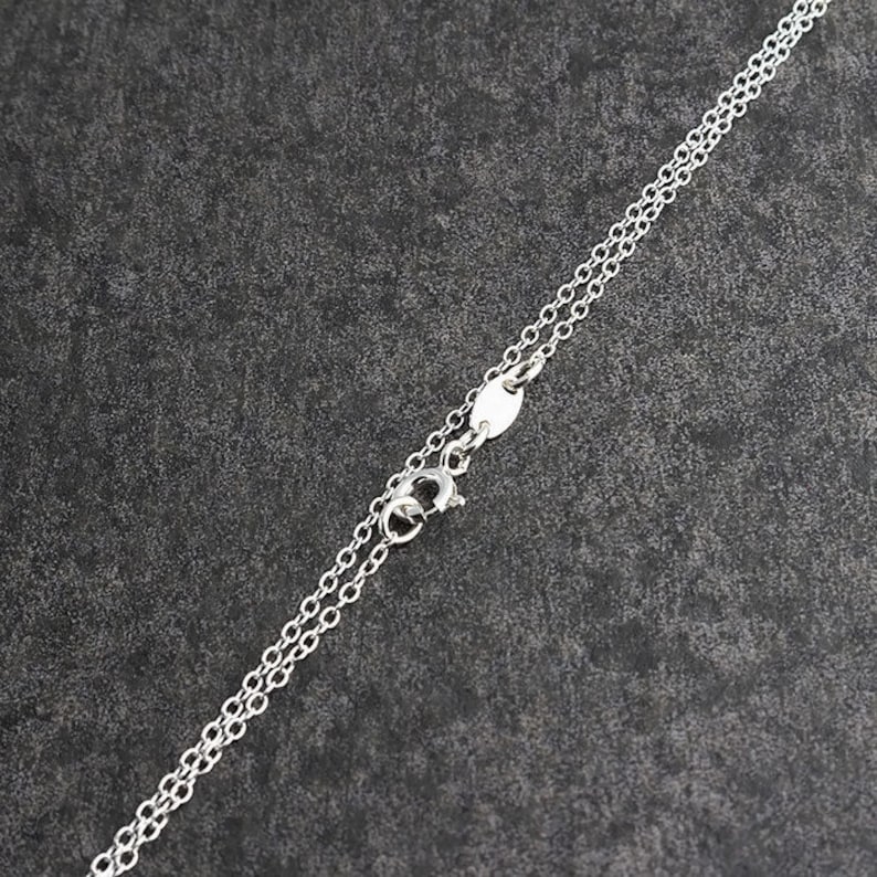 Pu&ograve; includere: Una collana a catena d'argento con chiusura a moschettone.
