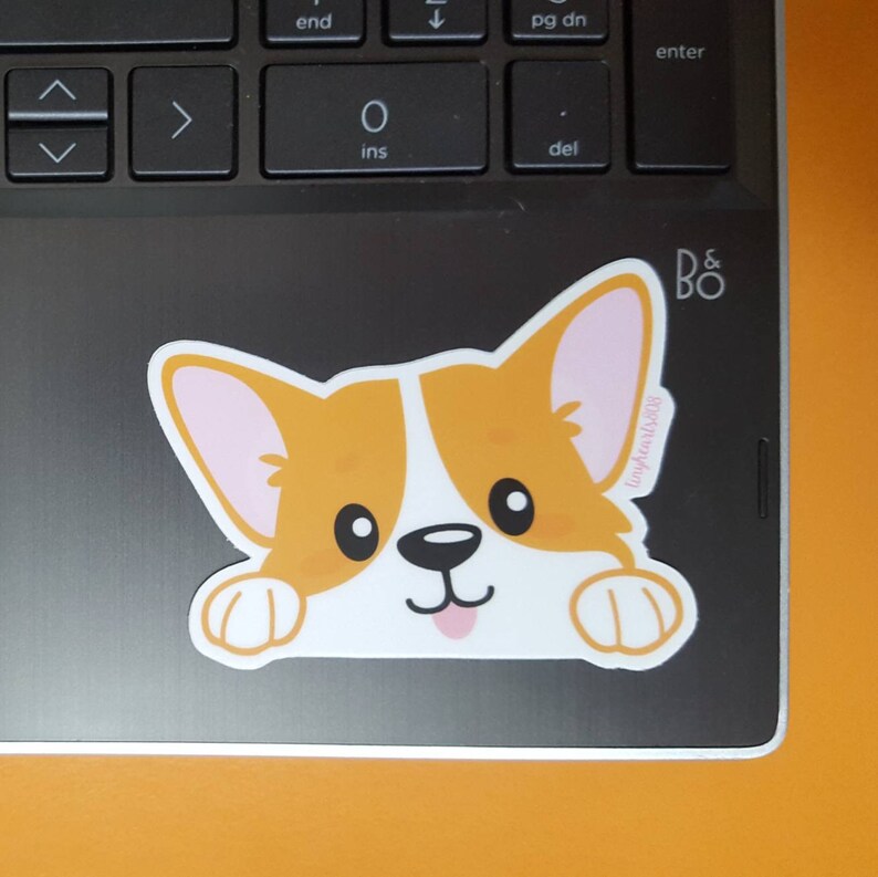 May include: A white, orange, and pink cartoon corgi dog sticker with a pink tongue sticking out. The sticker is on a black laptop with the text "D & BO" in white letters.